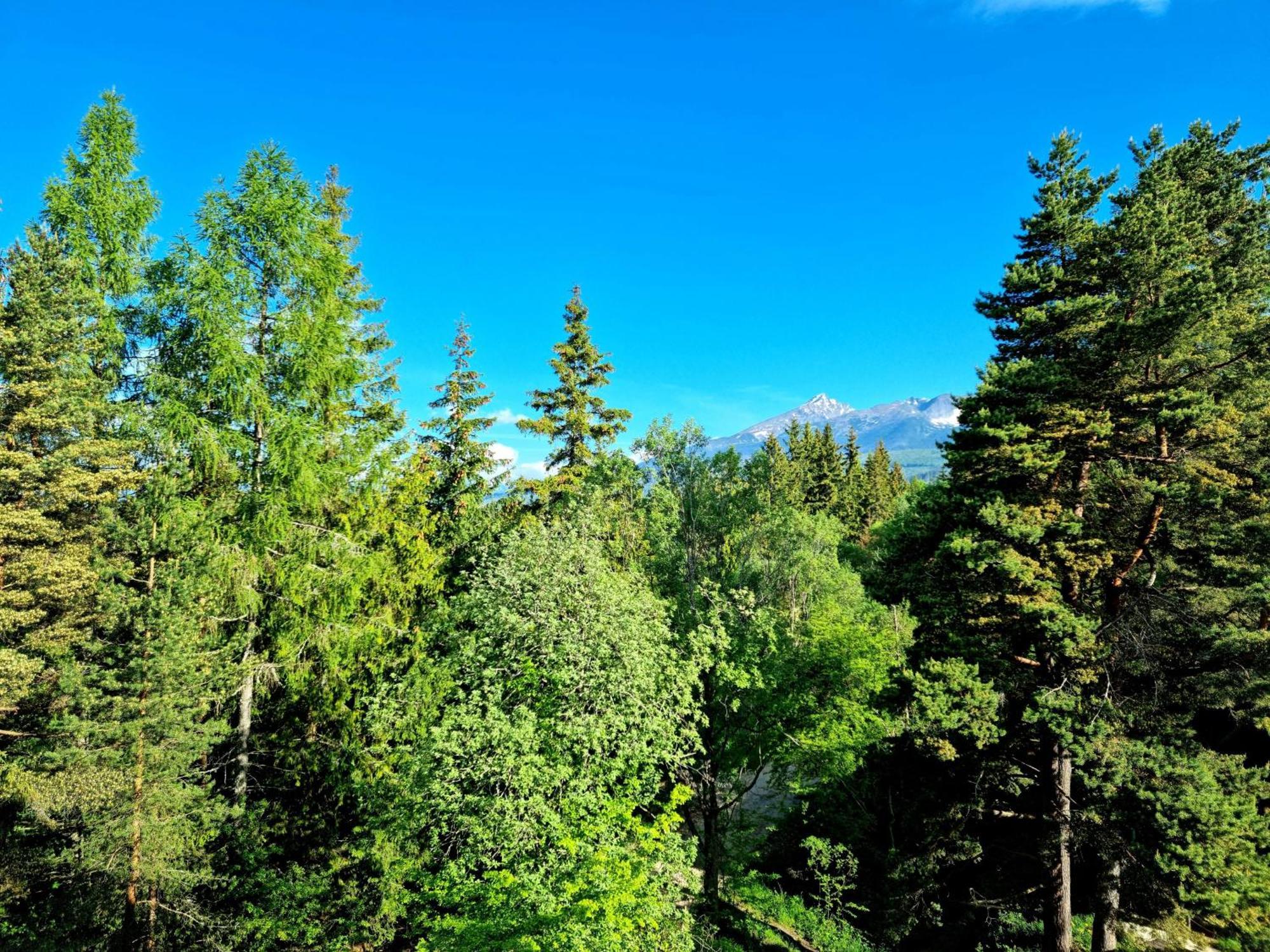 Monte Amnis Apartment Štrbské Pleso Esterno foto